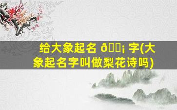 给大象起名 🐡 字(大象起名字叫做梨花诗吗)